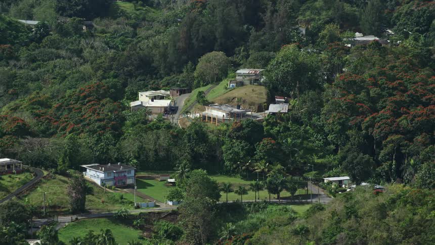A residential area with many houses on top of hills and a huge forest of trees