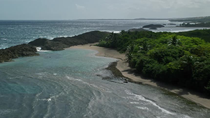 The islands are full of palm trees