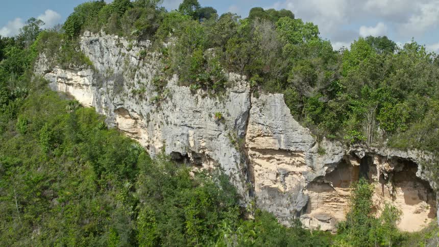 Forests cover mountains in a range