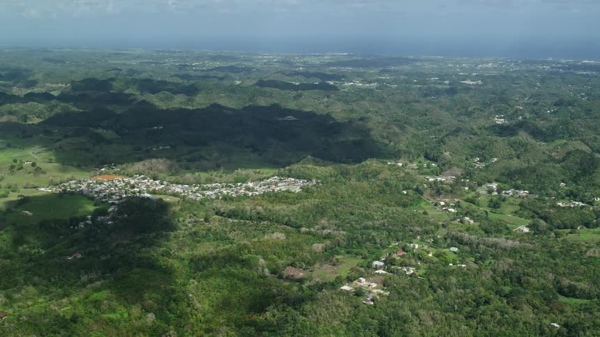 Aerial panorama of an urban city nestled among hills and forests