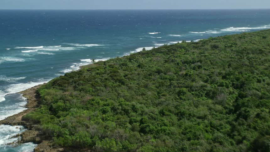 Aerial panorama of a peninsula with forest and sea