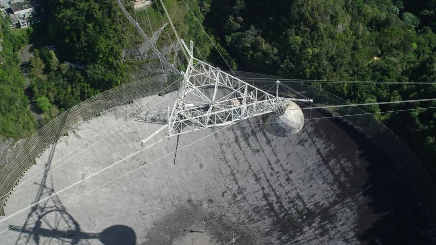 A giant radio telescope in the middle of the forest and a structure hanging from ropes above
