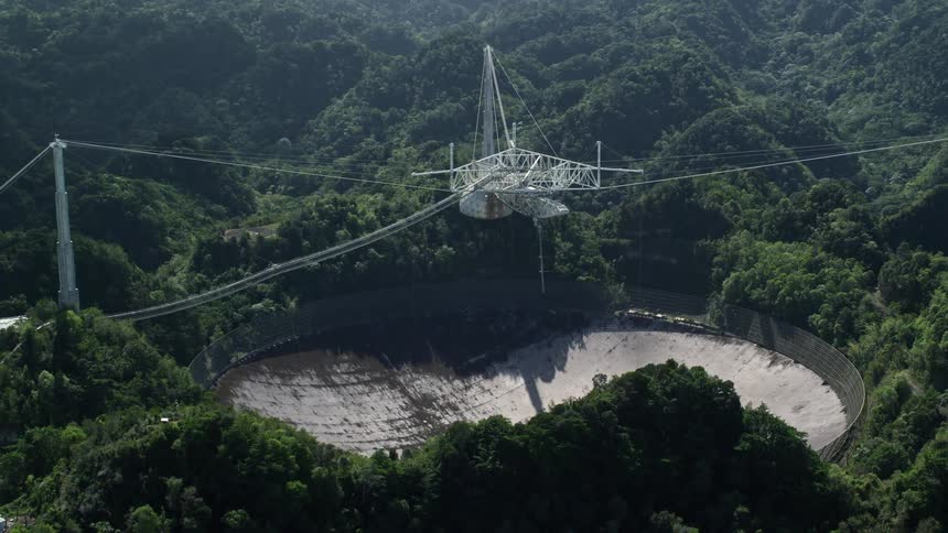 A huge radio telescope in a forest of trees with green leaves