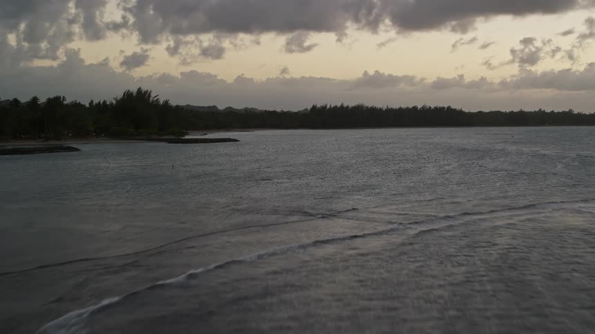 Ocean waves make contact with a forested coastal area