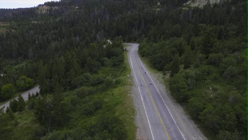 Bicyclists ride down a tree lined mountain road
