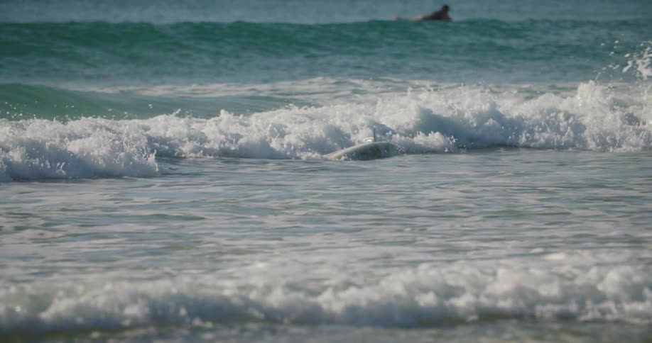 A surfboard being pushed by a wave