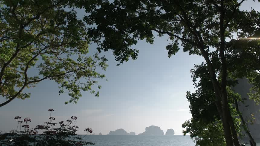 Light breeze blowing through trees near ocean waters