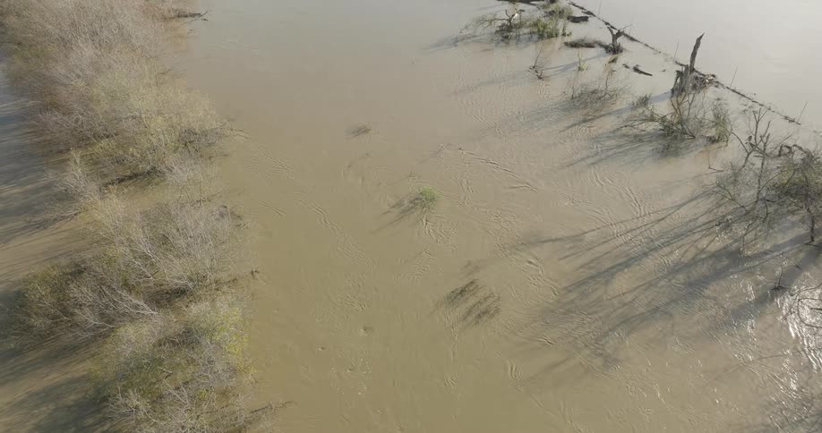 A flowing river at midday