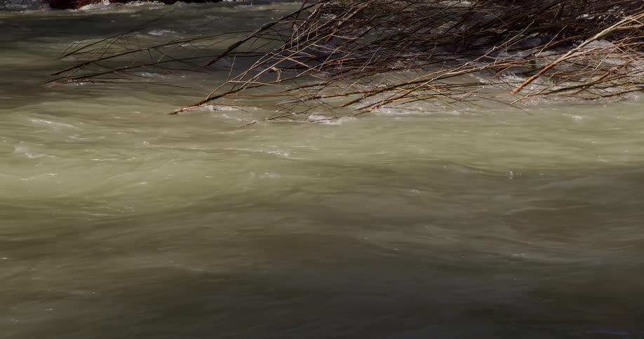 A rapid murky water stream with tree branches partially submerged