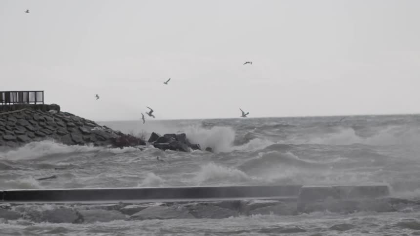 Birds fly above waves crashing ashore