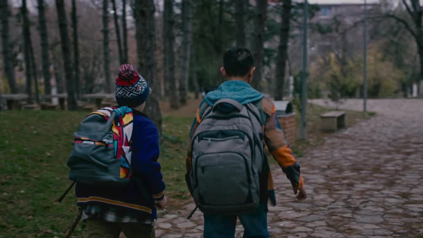 Two friends meeting in a forest and shaking hands and starting to walk together