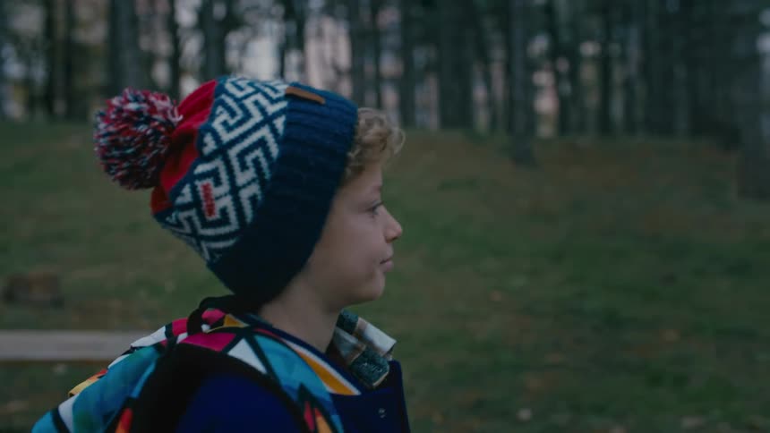 A child is walking past the forest