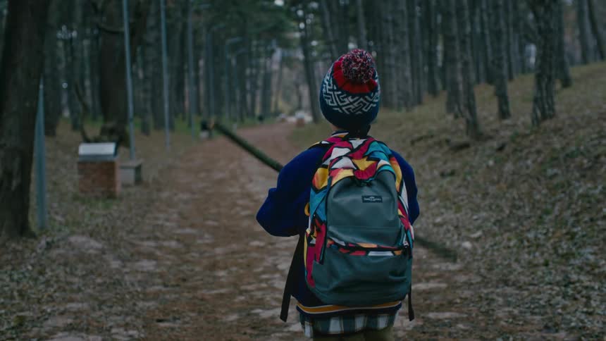 A young boy walks along a path lined with trees while he twirls a stick