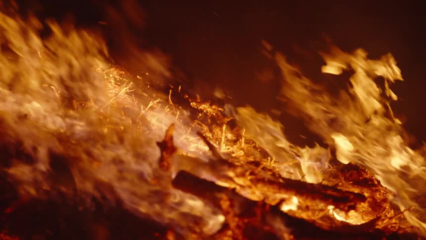 Flames and smoke rise from a raging forest fire