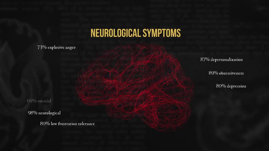 Slide with texts and information about the brain
