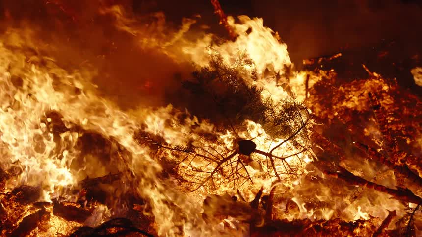 Flames rise as a raging forest fire burns