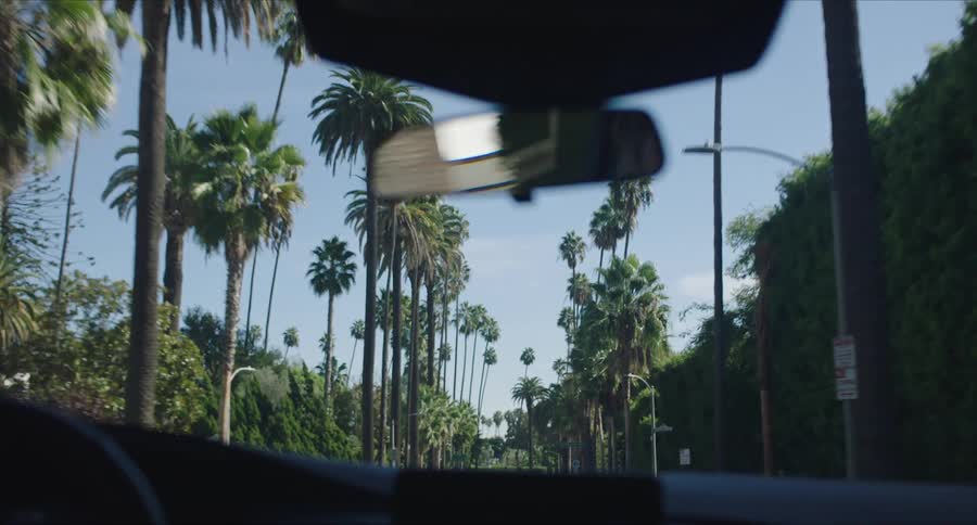 View from the windshield of the car on a street in a city with palm trees