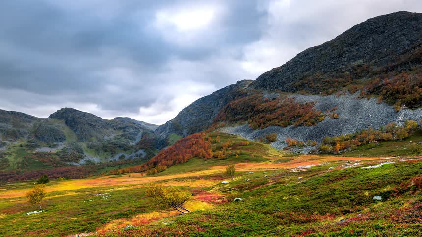 A region of nature with vegetation on the ground next to mountains and clouds passing in the sky