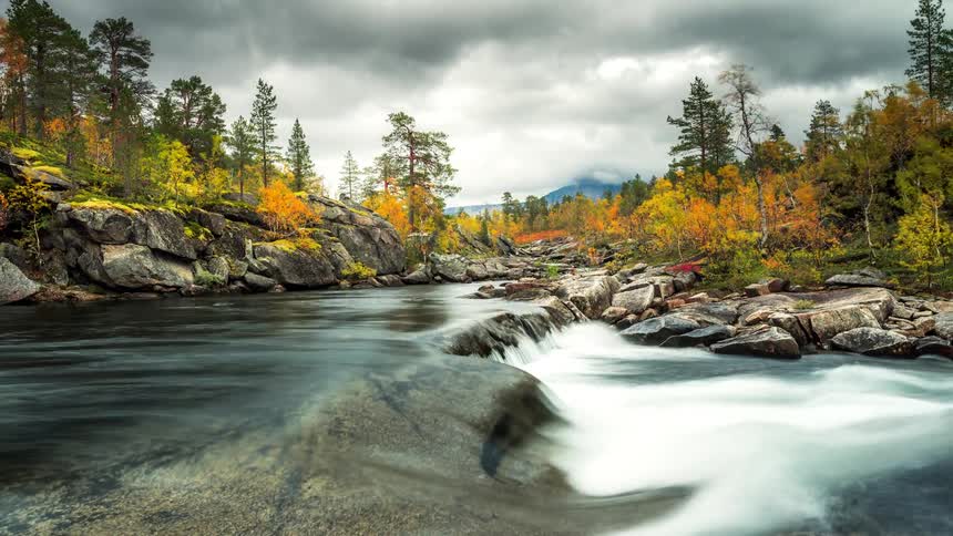 Time lapse of a stream rushing in a forest in the fall