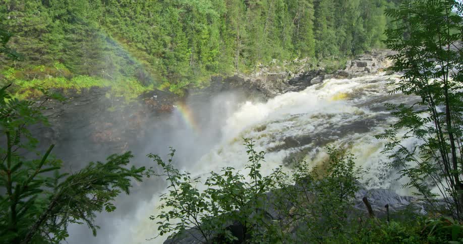 Landscape of a freefalling waterfall with a rainbow in the middle of the forest