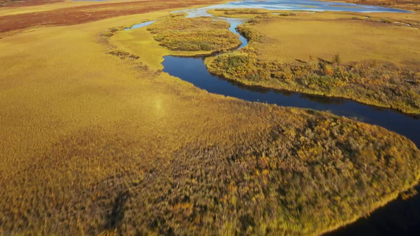 A long river that makes several curves in a region with lots of vegetation on the sides