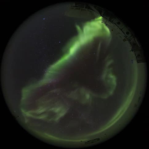 fisheye view of the Aurora Australis in a night sky