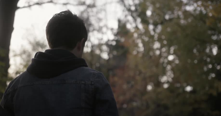 A young man sauntering through the woods
