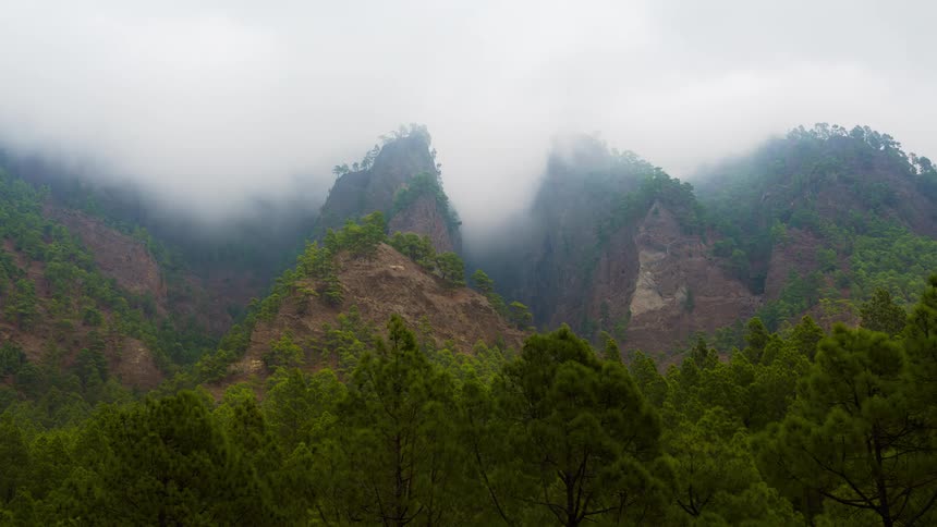 The mountain is covered by clouds and trees during the cloudy day
