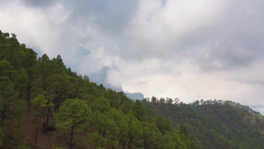 Clouds roil over a mountain area covered in a forest