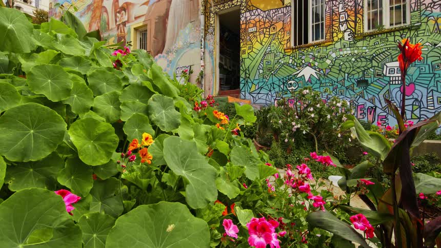 Facade of a residential neighborhood with flowers and plants on the side