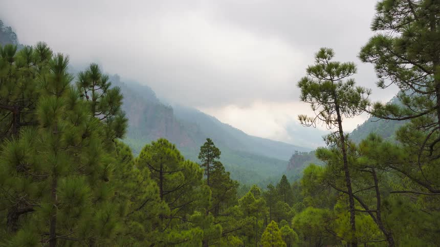 Clouds move around above a mountain and forest