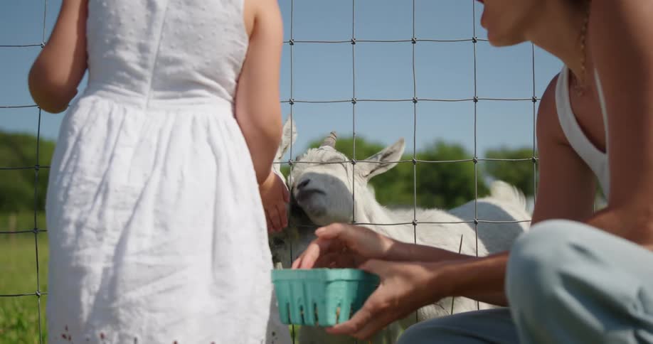 A woman crouches next to her child who is feeding goats through a grate