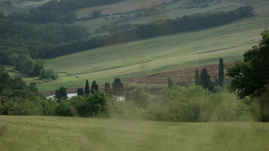 Green trees and hills