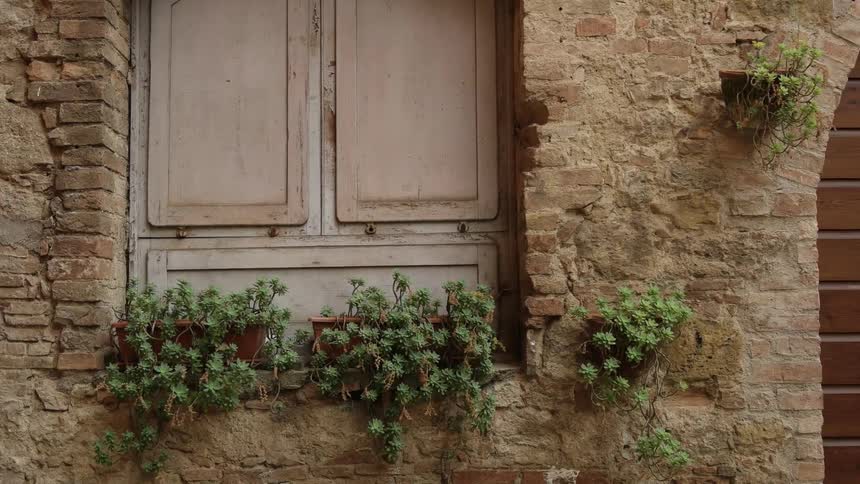 Plants grow in pots on a stone building