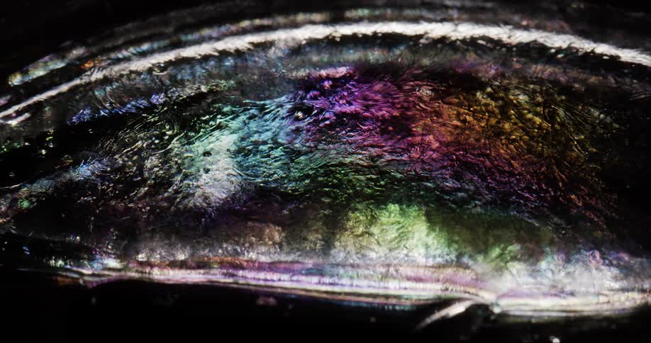 Strange substances with different colors move in a pattern