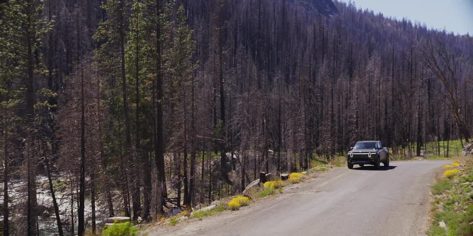 A car driving on a rural road next to a forest and below there is a river