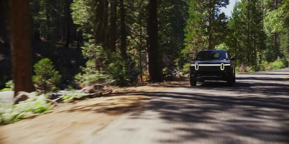 An suv driving through a forest road