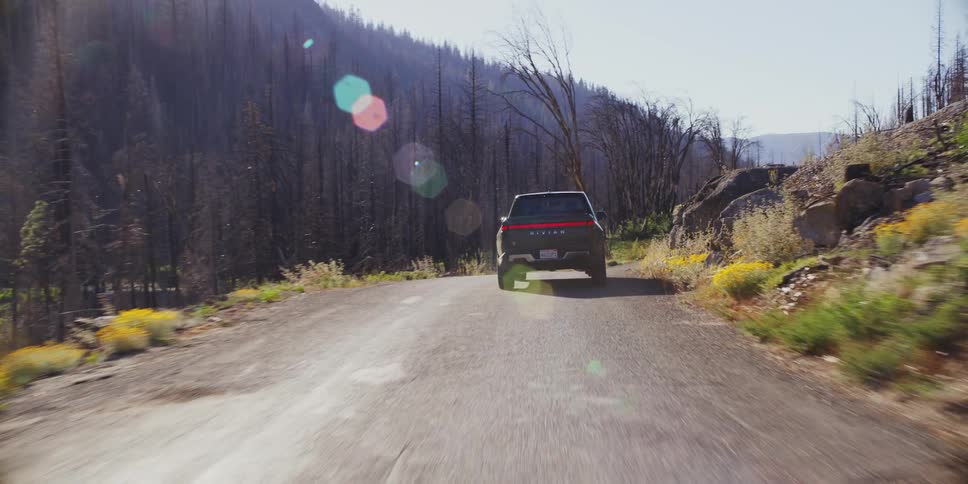 Pickup on a simple road at high speed in the middle of a forest