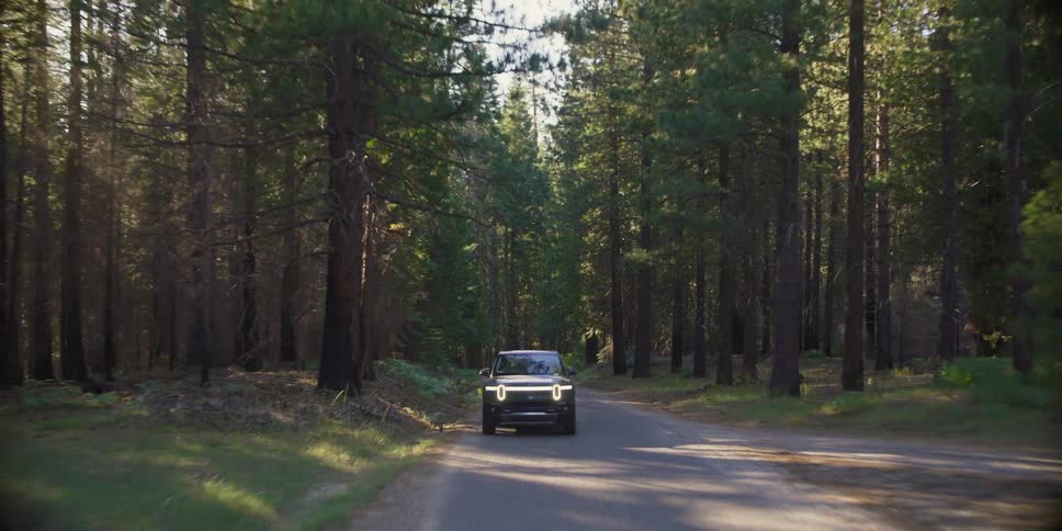 A car drives down a road in a forest