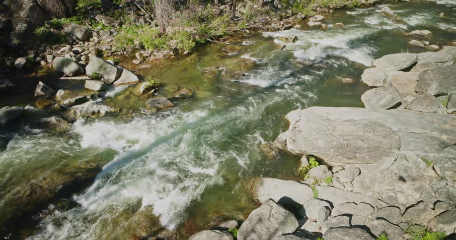 A river with rapids going across a forest