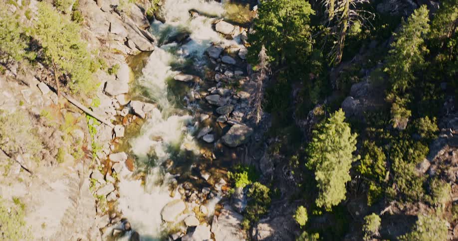 An aerial view of a stream with several rocks and on the sides there are several trees