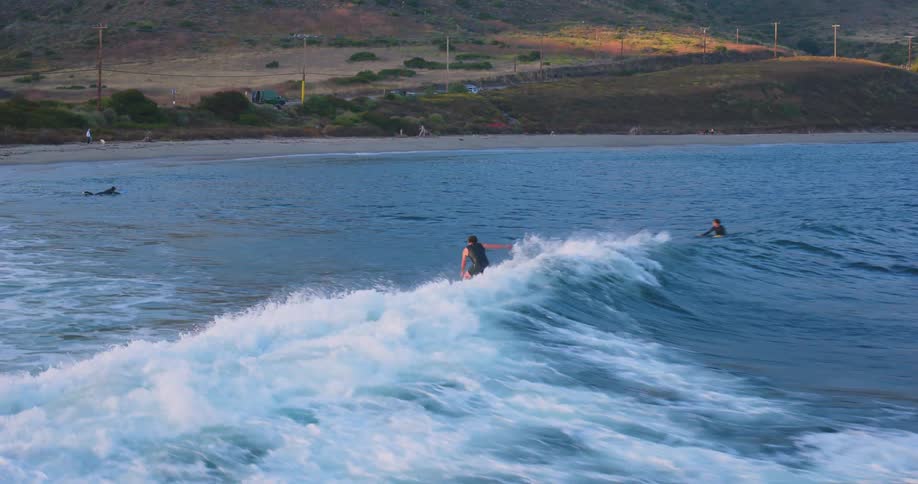 Surfers in the sea surfing waves