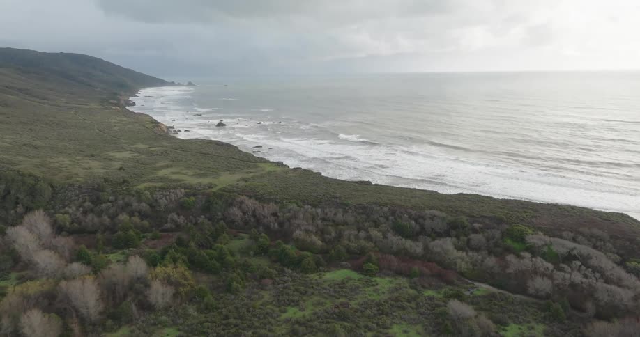 A forest is on the shore of the island