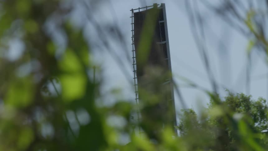 Beyond a patch of plants a windmill spins