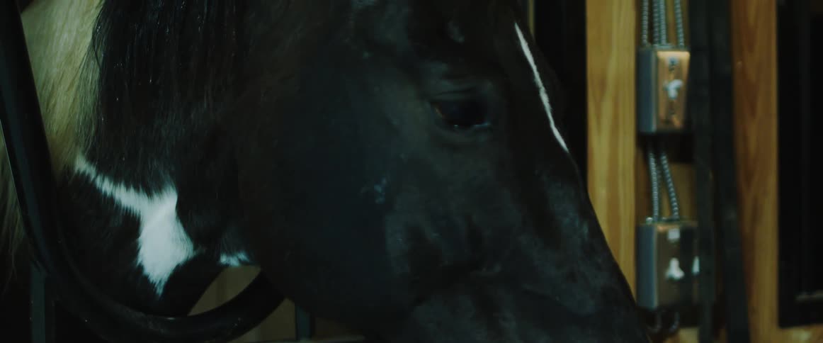 A clip of a black horse inside a stable