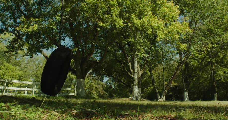 Landscape of trees on a farm with a tire swing