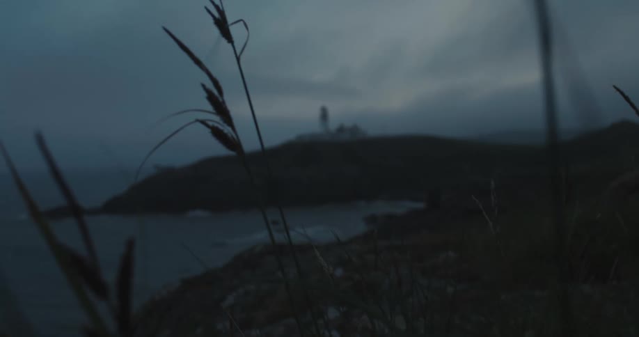 Structures sit on a coast
