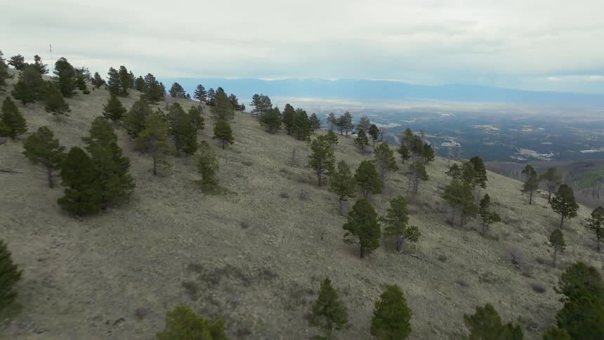 The mountain has sparse trees