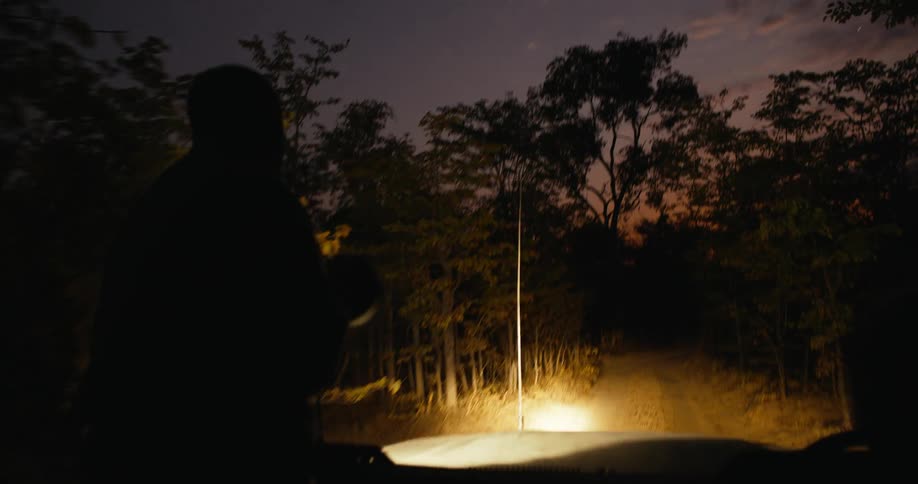 A man seated on a moving vehicle in a forest area while holding a torchlight at sunset