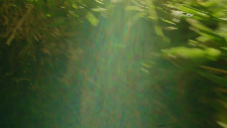 Close up of the bright green blades of grass and vegetation